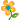 flower_n1